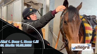 Hattrick dank ALMI, BEAU und NOON in St. Moritz (15.2.26)