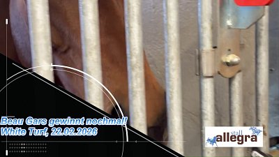 7. Sieg an White Turf 2026 dank BEAU GARS (22.2.26)
