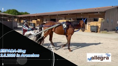 ESPADA-Sieg im Prix des Elites in Avenches (2.5.2026)