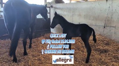 Willkommen petite QUICK LADY: Papa FOLLOW YOU - Mama CANONE DU BOCAGE (21.4.2026)