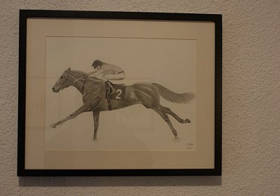 DSC00311 Burgstallhof 24nov13