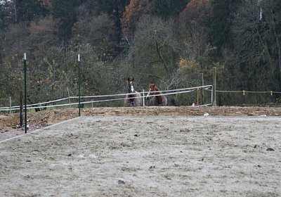 DSC00361 Burgstallhof 24nov13