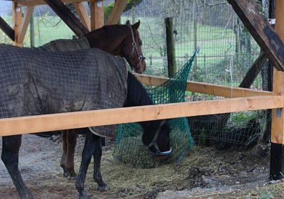 DSC00408 Burgstallhof 24nov13