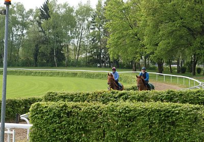 26april2014 GV Dielsdorf Fisibach Gitan Remedial etc DSC05288