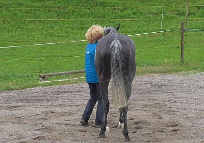 26april2014 GV Dielsdorf Fisibach Gitan Remedial etc S1020002