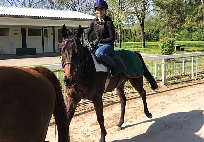 2018 04 22 GV und Training DSC08398 Dastary