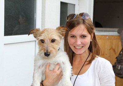 IMG 0101 800x533