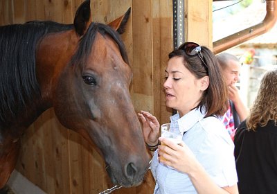 IMG 0113 800x533