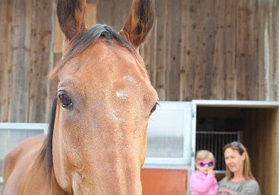 IMG 0141 800x533