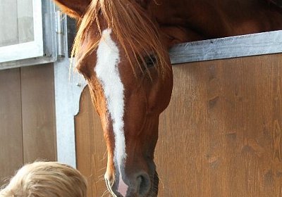 IMG 0153 800x533