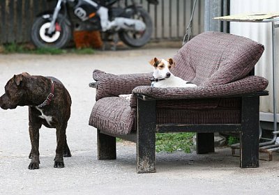 Sie hatten es auch friedlich