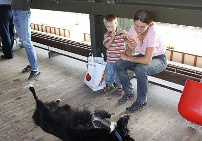 IMG 8028 600x400.jpg