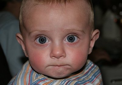 IMG 1817 600x400.jpg