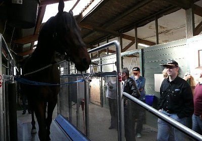 P1030006 533x400.jpg