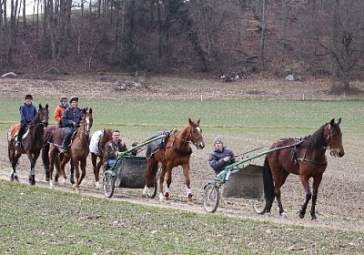 Beritten und Gefahren 525x350....