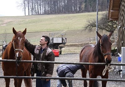 IMG 4268 525x350.jpg