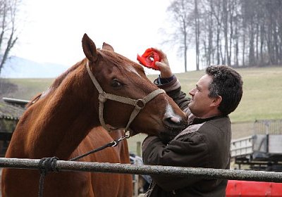 IMG 4270 525x350.jpg