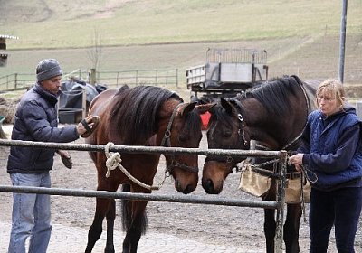 IMG 4272 525x350.jpg