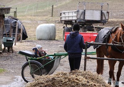 IMG 4289 525x350.jpg