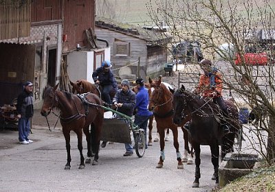 IMG 4299 525x350.jpg