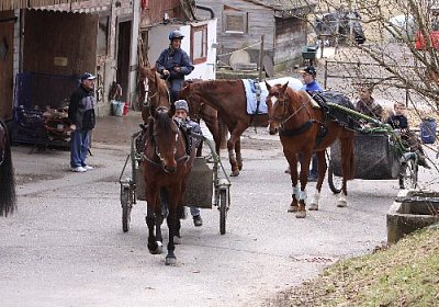 IMG 4302 525x350.jpg