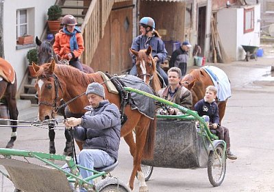 IMG 4303 525x350.jpg