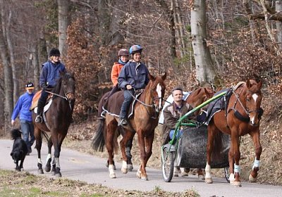 IMG 4308 524x350.jpg