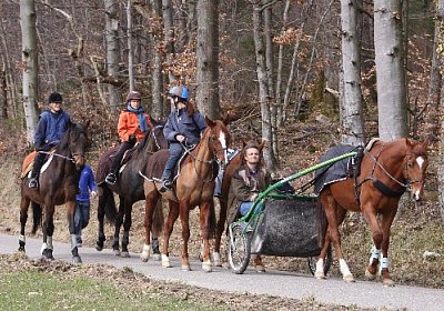 IMG 4309 524x350.jpg