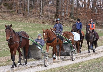 IMG 4311 524x350.jpg