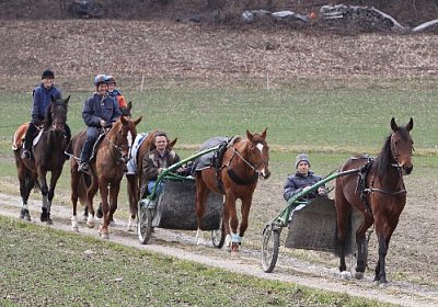 IMG 4318 524x350.jpg