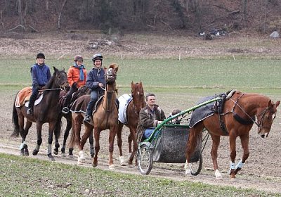 IMG 4322 524x350.jpg