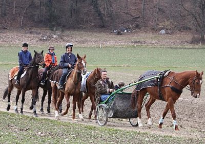 IMG 4323 524x350.jpg