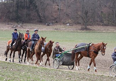 IMG 4325 525x350.jpg