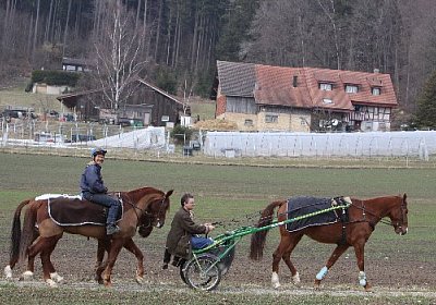 IMG 4326 525x350.jpg