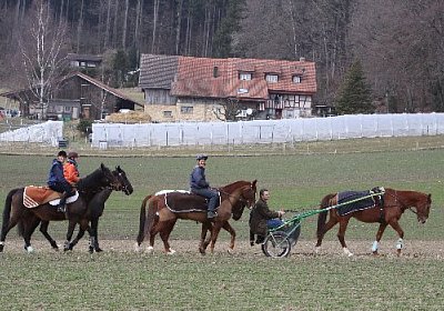 IMG 4331 525x350.jpg