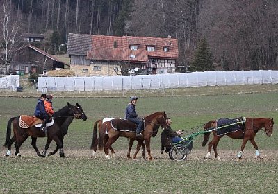 IMG 4333 525x350.jpg