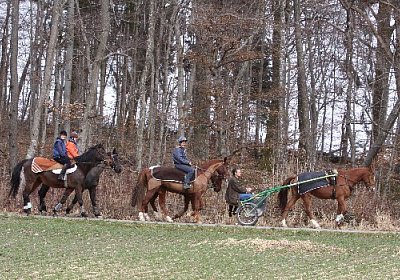 IMG 4341 525x350.jpg