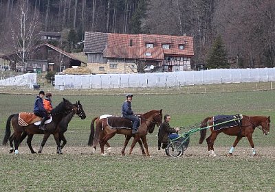 Trab Lot hinten Stall 525x350....