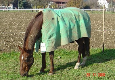 Fern von jedem Rummel