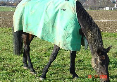 Bitte nicht st?ren...