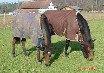 Onkel Tche und La Lande