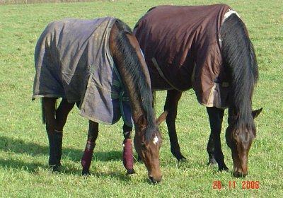 ...und weiter geht's