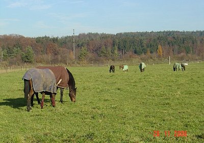 Fast bis zum Horizont...