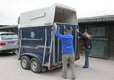 IMG 8902 600x400.jpg