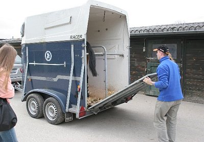 IMG 8904 600x400.jpg