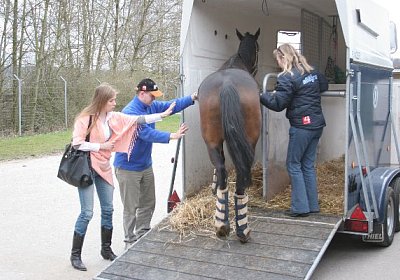 IMG 8905 600x400.jpg