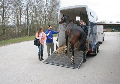 IMG 8908 600x400.jpg