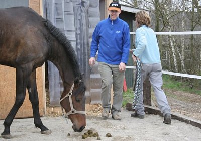 IMG 8928 600x400.jpg