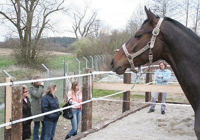 IMG 8966 600x400.jpg