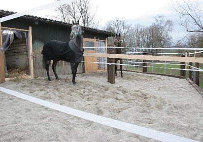 IMG 8973 600x400.jpg